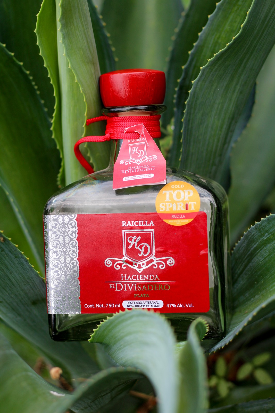 Raicilla Plata Special Edition — Agave Chico Aguiar
