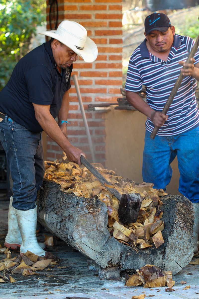 Hand mashing in wooden trunk